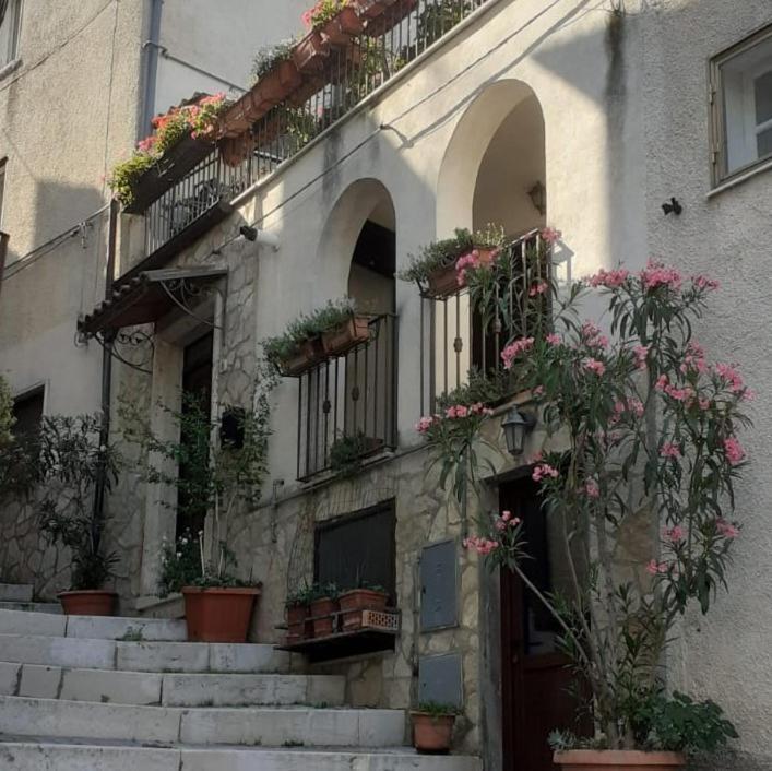 Porta Del Colle Villa Roccavivara Bagian luar foto
