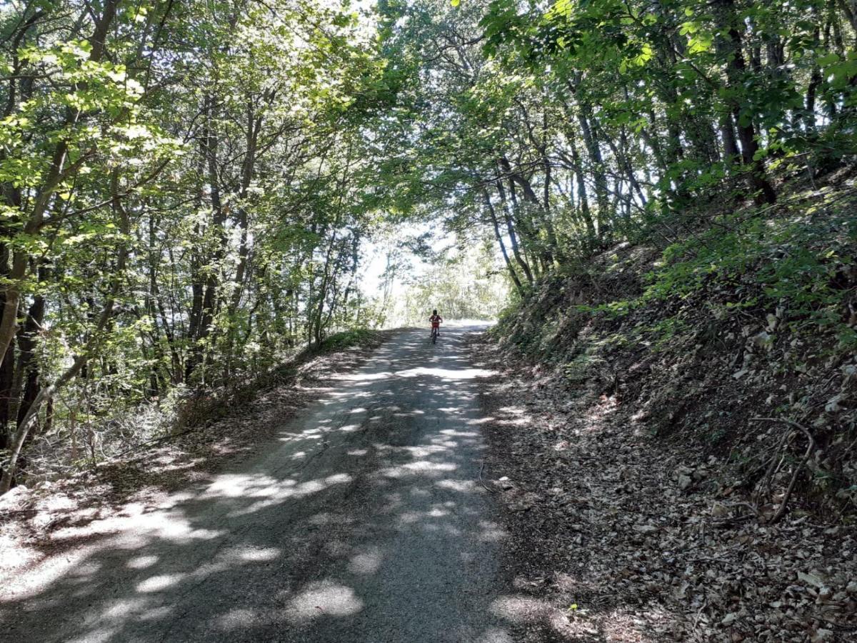 Porta Del Colle Villa Roccavivara Bagian luar foto